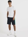 Celio Tricou