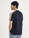 Celio Tricou