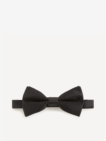 Celio Bibow2 Papion