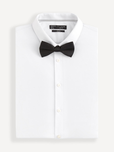 Celio Bibow2 Papion