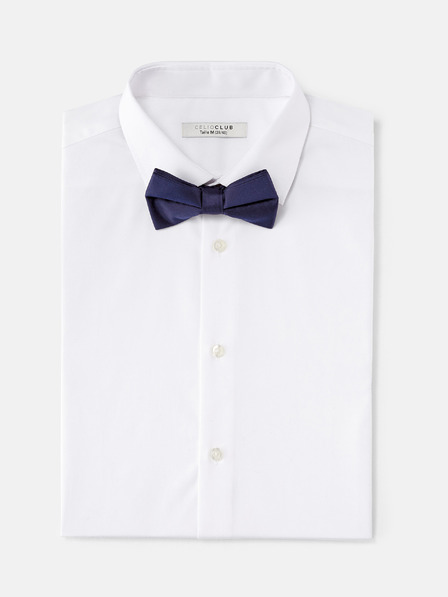 Celio Bibow2 Papion