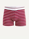 Celio Mitch Boxeri