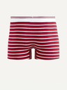 Celio Mitch Boxeri