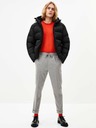 Celio Potheodor Pantaloni