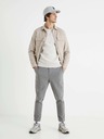 Celio Pantaloni scurți gri pentru bărbați cu Celio 24H Botape