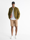 Celio Bepolin Polo Tricou