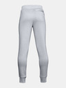 Under Armour Pantaloni pentru băieți Under Armour RIVAL COTTON