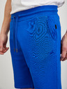ZOOT.lab Pantaloni de trening albastru pentru bărbați ZOOT.lab Jordan