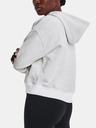 Under Armour Hanorac pentru femei Under Armour Essential Script Hoodie