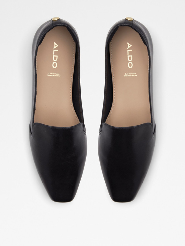 Aldo Lareir Mocasini