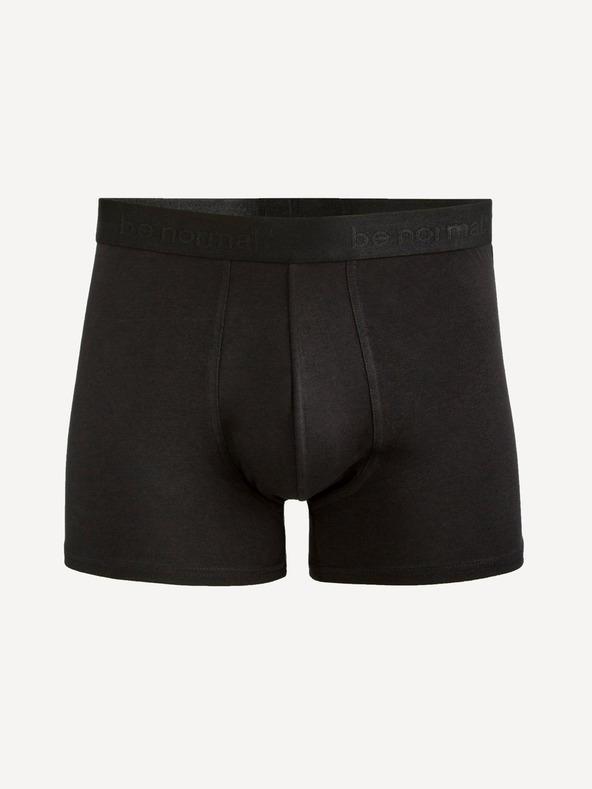 Celio Boxeri