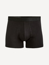 Celio Boxeri