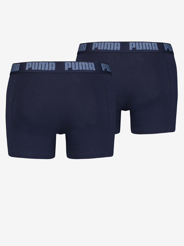 Puma Boxeri