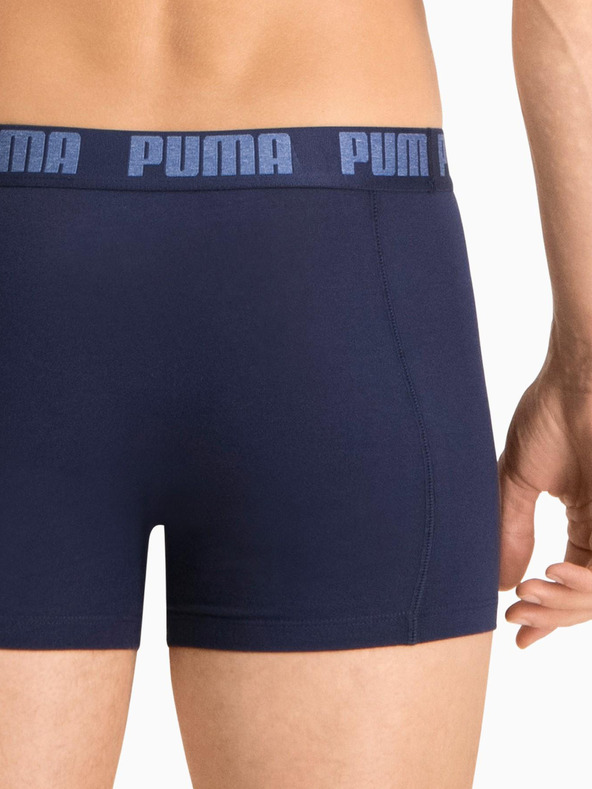 Puma Boxeri