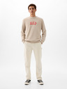GAP Hanorac Logo GAP