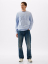 GAP Hanorac logo GAP fleece