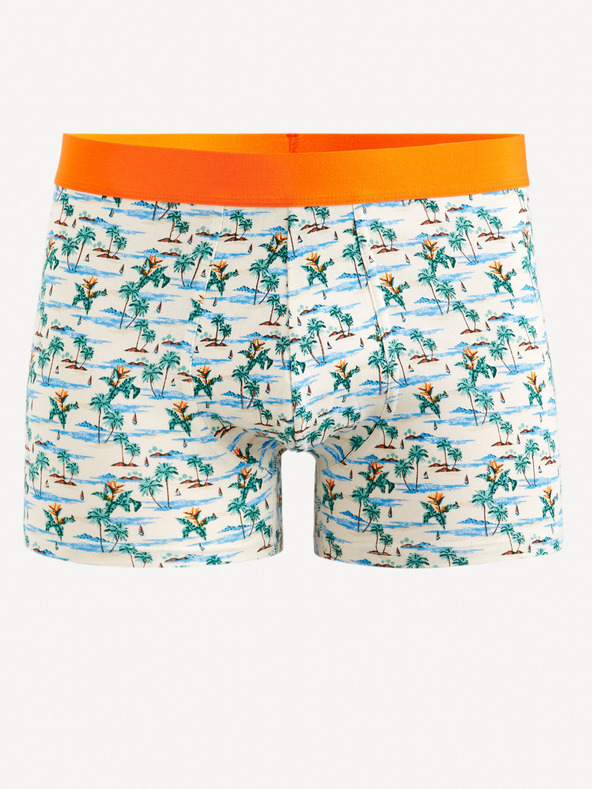 Celio Giboparadi Boxeri