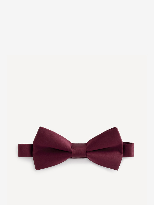 Celio Bibow2 Papion