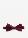 Celio Bibow2 Papion
