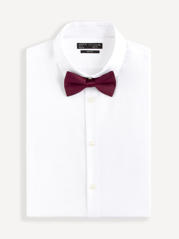 Celio Bibow2 Papion