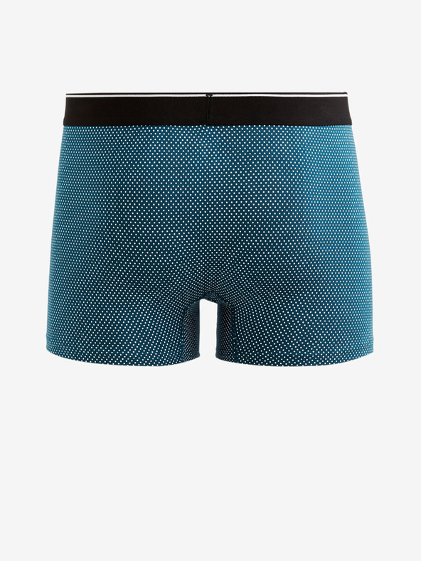 Celio Mitch Boxeri