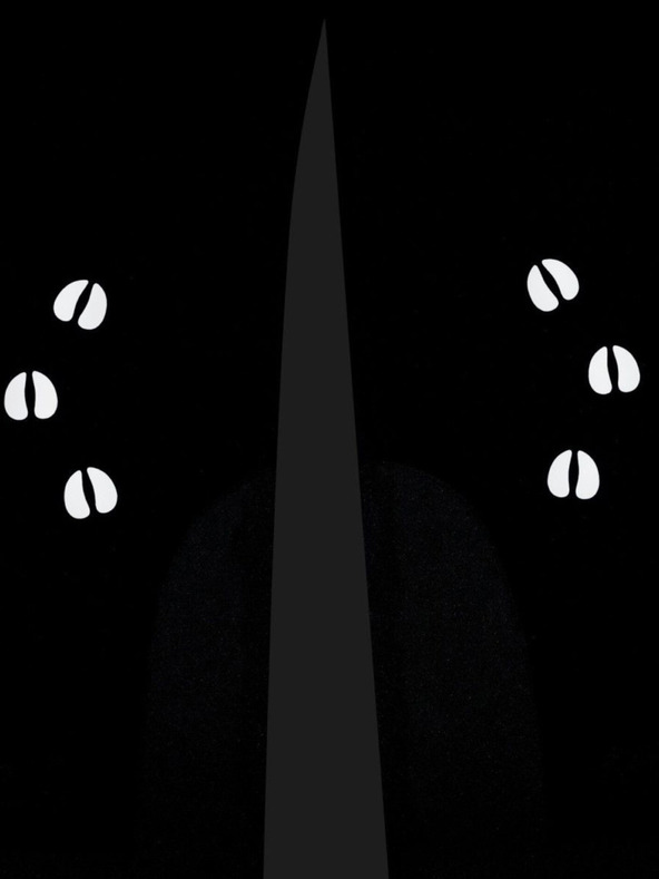 Kilpi Pantaloni de schi negri pentru copii Kilpi CHARLIE