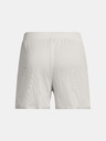 Under Armour Pantaloni scurți Under Armour Curry Splash pentru bărbați