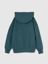 GAP Hanorac pentru copii Gap Athletic Unisex GAP