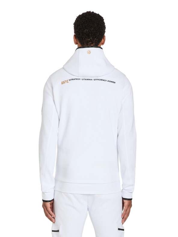 Celio Hanoracul Celio