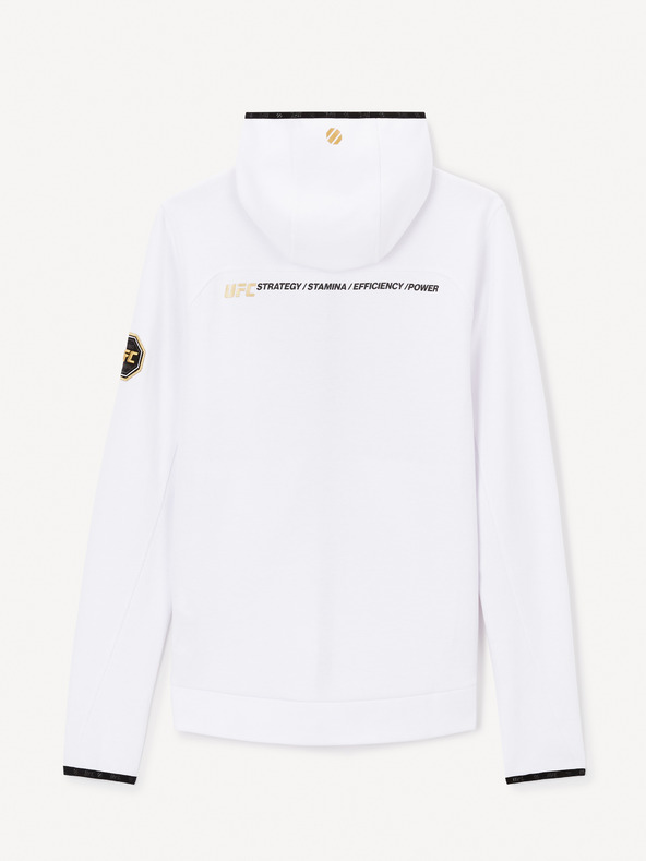 Celio Hanoracul Celio