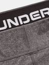 Under Armour Colanți damă Under Armour UA CG Authentics Legging