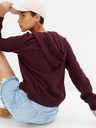 GAP Pulover GAP cu glugă