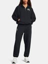 Under Armour Tricou pentru femei Under Armour UA Icon HWT Terry OS HZ