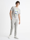 Celio Cesouth L.A. Tricou