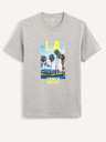 Celio Cesouth L.A. Tricou
