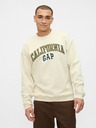 GAP Hanorac Logo GAP