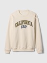 GAP Hanorac Logo GAP