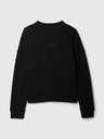 GAP Hanorac Logo GAP