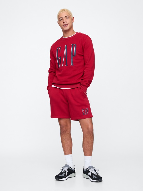 GAP Hanorac Logo GAP