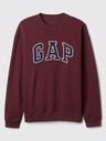 GAP Hanorac Logo GAP