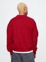 GAP Hanorac oversize Logo GAP