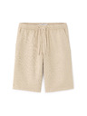 Celio Pantaloni scurți Lorusticbm