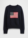GAP Pulover pentru băieți Americana GAP