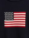 GAP Pulover pentru băieți Americana GAP