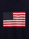 GAP Pulover Americana GAP