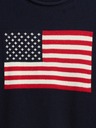 GAP Pulover Gap Americana GAP