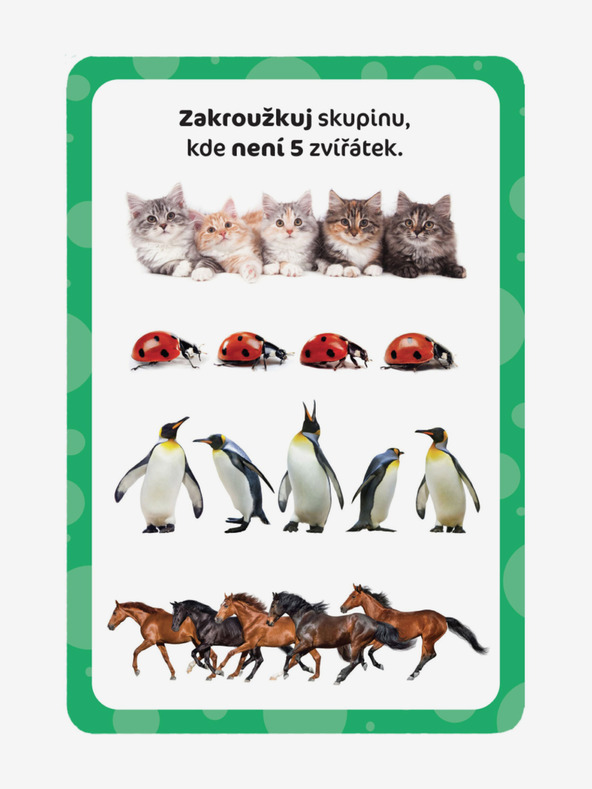 ELLA & MAX Tabletă magică și cărți de zgâriat - Prima numărătoare