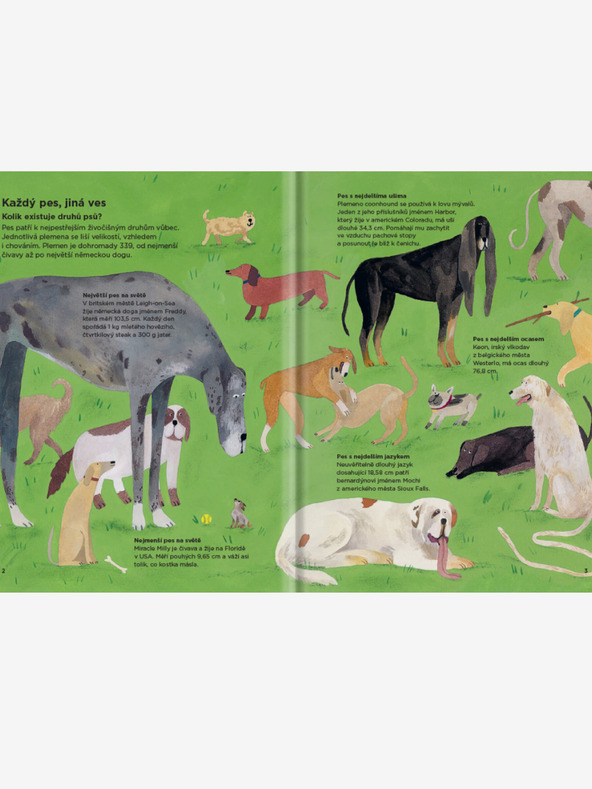 ELLA & MAX DE CE SE ADULMECĂ CÂINII ÎNTRE EI? - Totul despre câini