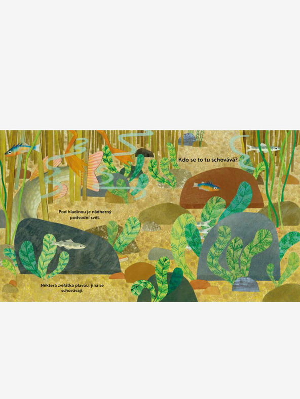 ELLA & MAX Cine se ascunde aici? Lângă râu - O carte cu ferestre care se deschid