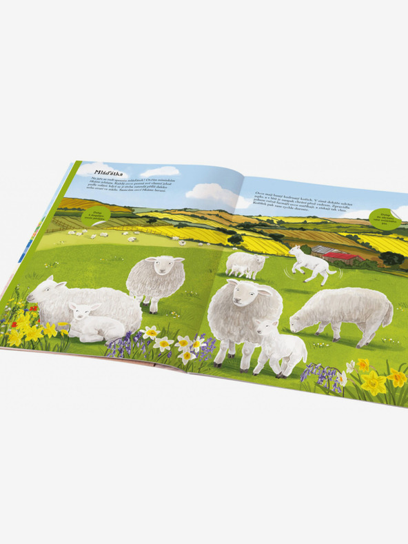 ELLA & MAX Cai, somnoroși și alte animale de fermă - Carte de abțibilduri